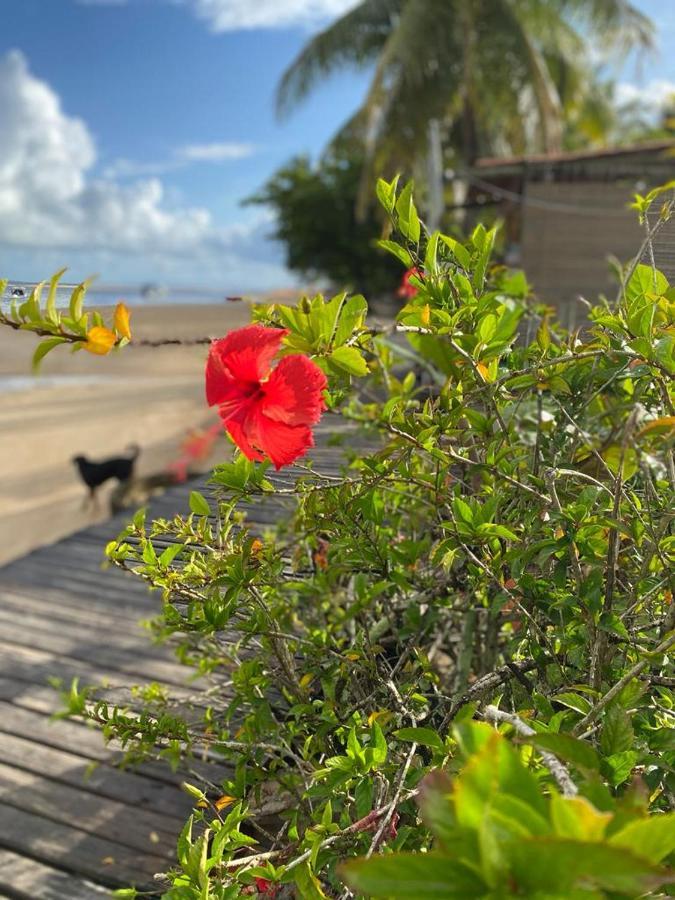 מלון Velha Boipeba Estalagem Sol De Boipeba מראה חיצוני תמונה